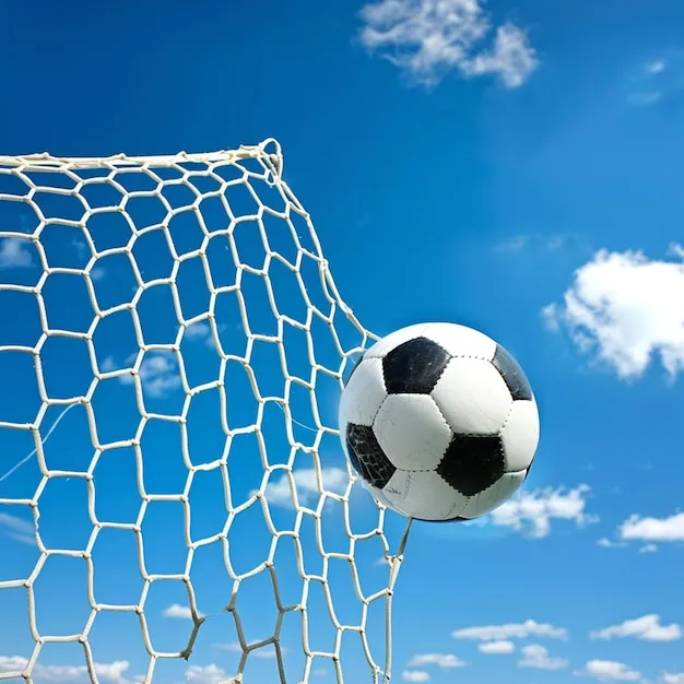 OD体育官方网站